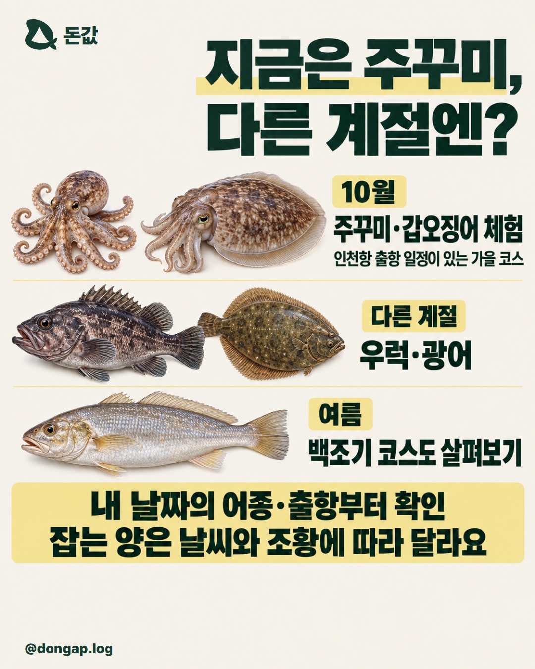 지금은 주꾸미, 다른 계절엔?. 10월: 주꾸미·갑오징어 체험
인천항 출항 일정이 있는 가을 코스
다른 계절: 우럭·광어
여름: 백조기 코스도 살펴보기
내 날짜의 어종과 출항 여부부터 확인
잡는 양은 날씨와 조황에 따라 달라요